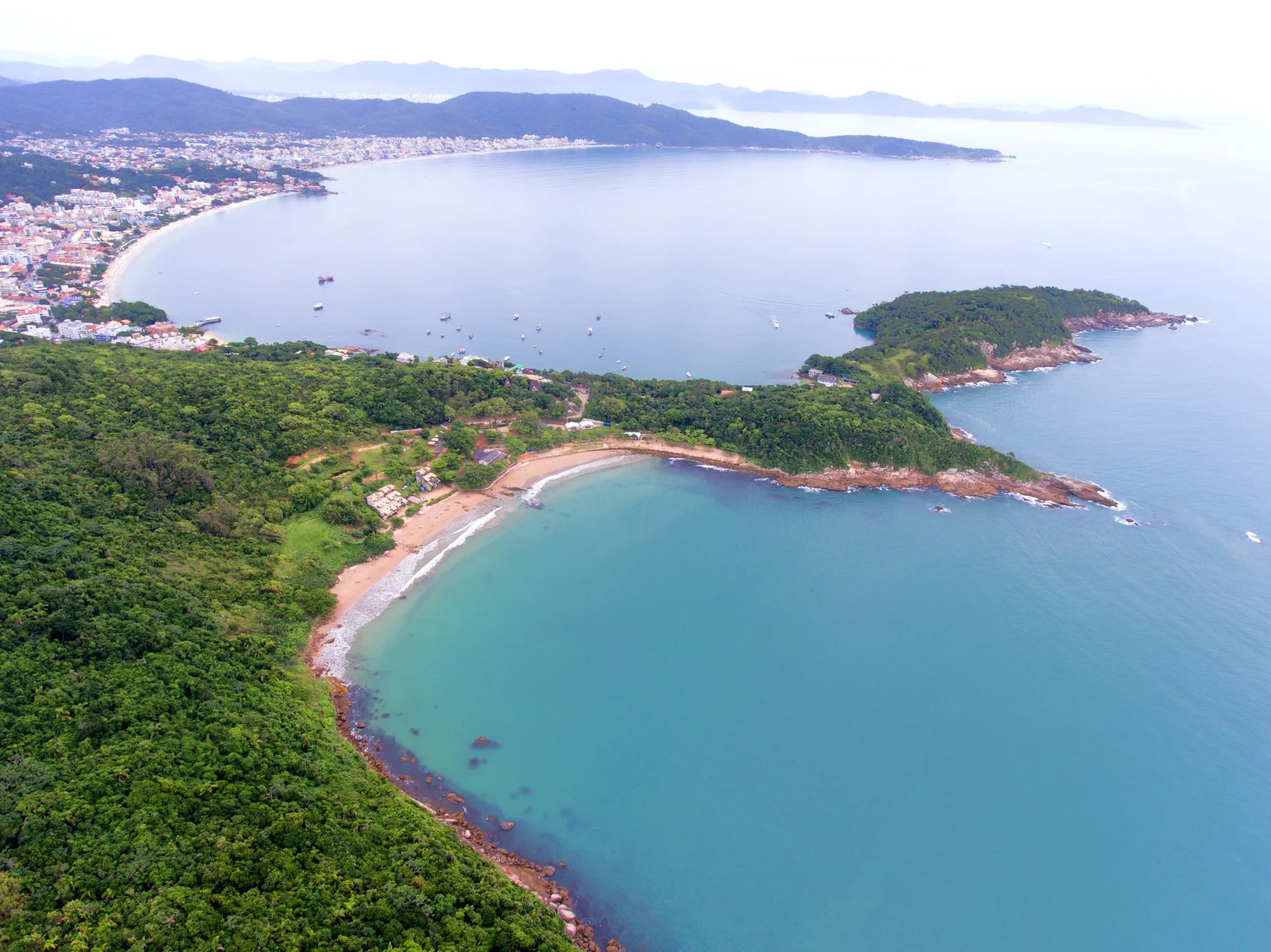 Mar transparente, mata em volta